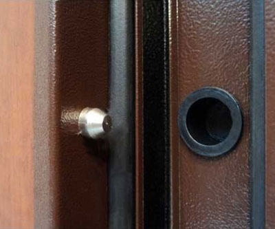 дверь в частный дом