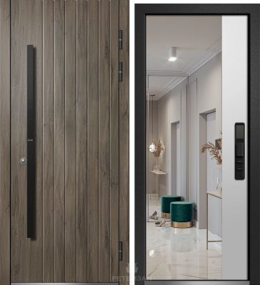 Входная дверь ОРФЕЙ-640 (Dircode Q2) (Биометрический) Входная дверь ОРФЕЙ-640 (Dircode Q2) (Биометрический)